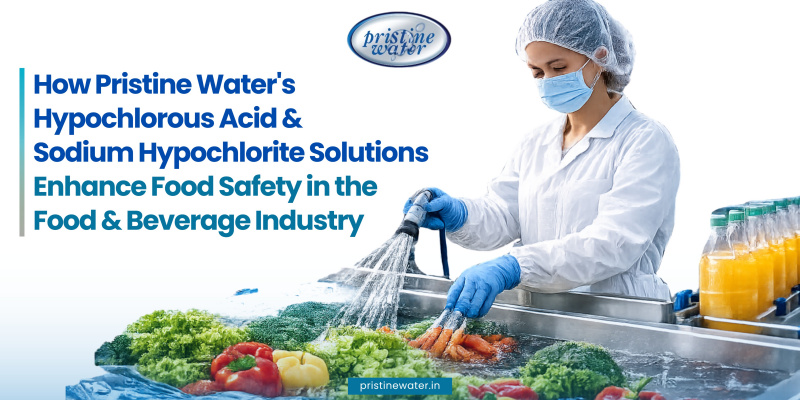 How Hypochlorous Acid and Sodium Hypochlorite Are Used in the Food & Beverage Industry