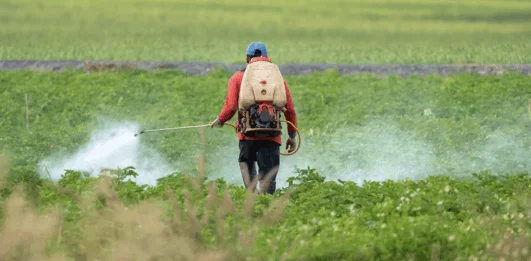 Crop health with pristine water hypogrow
